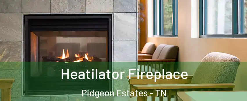 Heatilator Fireplace Pidgeon Estates - TN