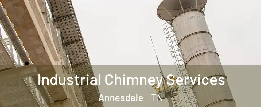 Industrial Chimney Services Annesdale - TN