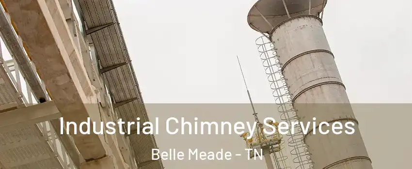 Industrial Chimney Services Belle Meade - TN