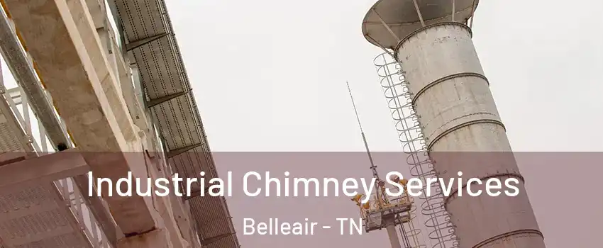 Industrial Chimney Services Belleair - TN