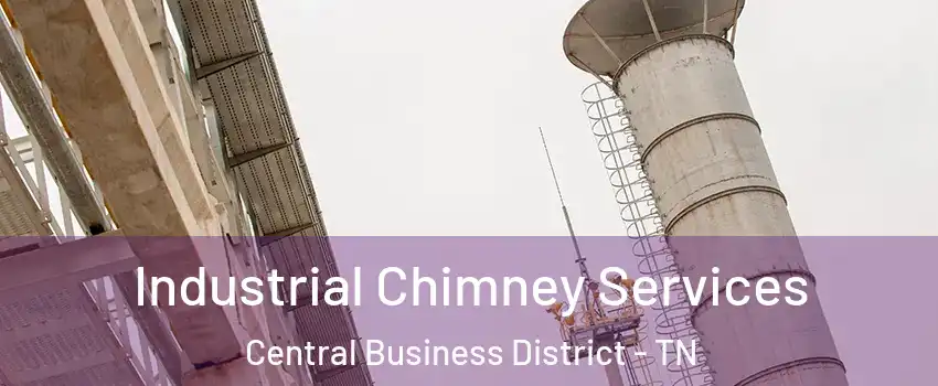 Industrial Chimney Services Central Business District - TN