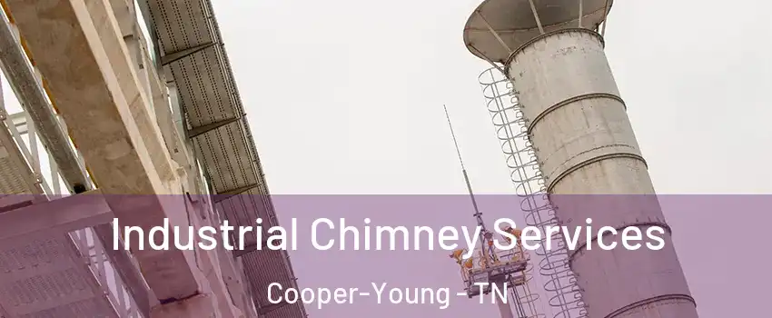 Industrial Chimney Services Cooper-Young - TN