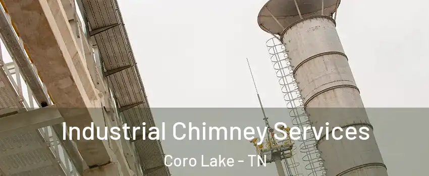 Industrial Chimney Services Coro Lake - TN