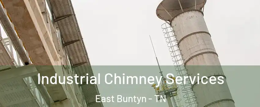 Industrial Chimney Services East Buntyn - TN