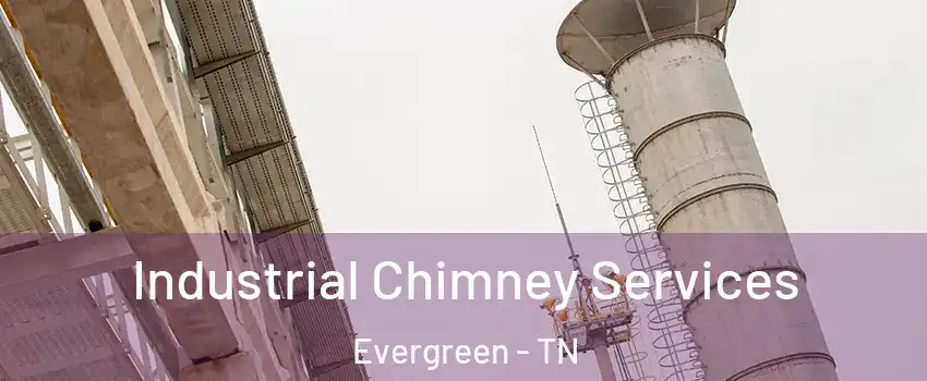 Industrial Chimney Services Evergreen - TN