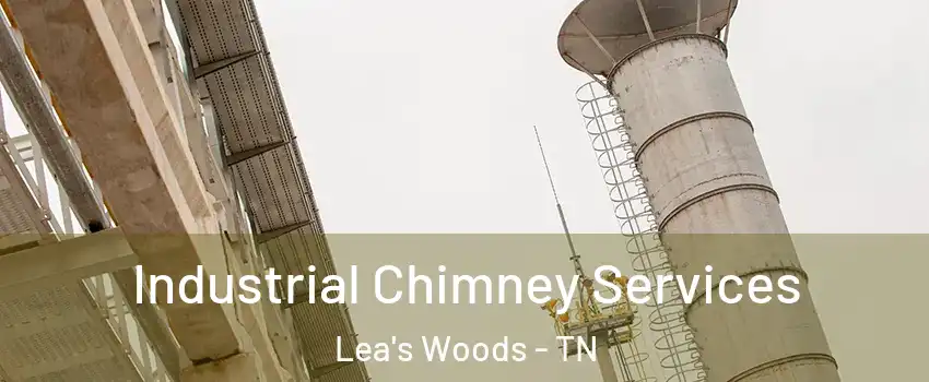 Industrial Chimney Services Lea's Woods - TN