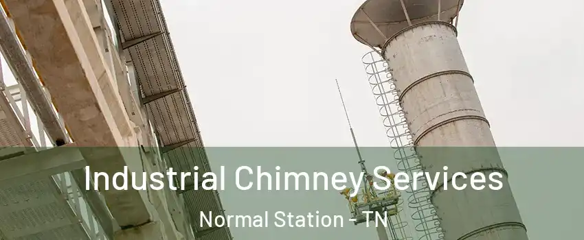 Industrial Chimney Services Normal Station - TN