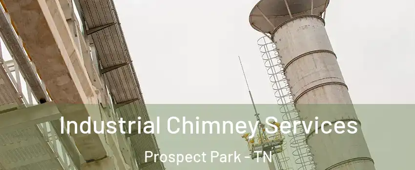 Industrial Chimney Services Prospect Park - TN