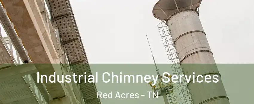 Industrial Chimney Services Red Acres - TN