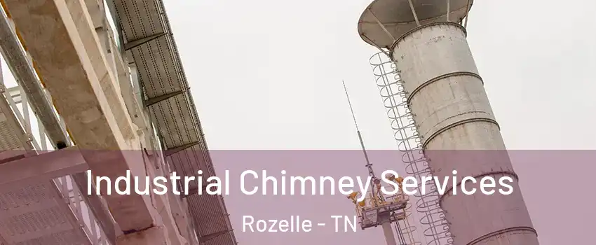 Industrial Chimney Services Rozelle - TN