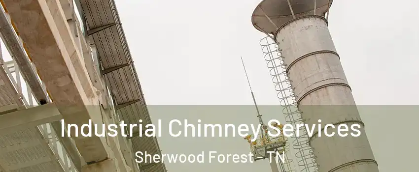 Industrial Chimney Services Sherwood Forest - TN