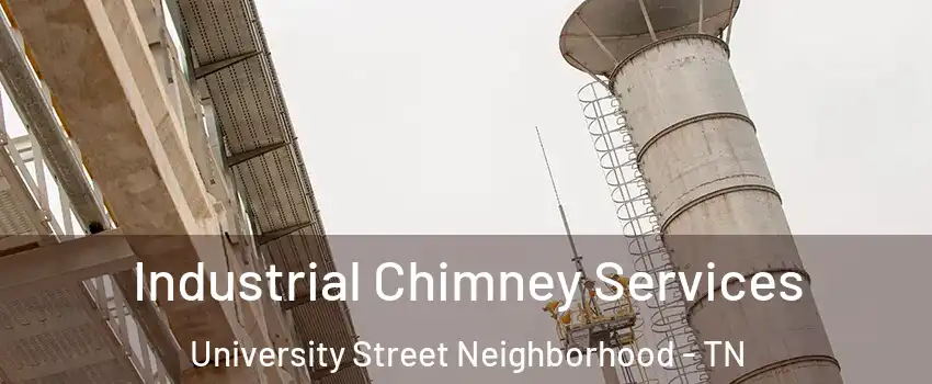 Industrial Chimney Services University Street Neighborhood - TN