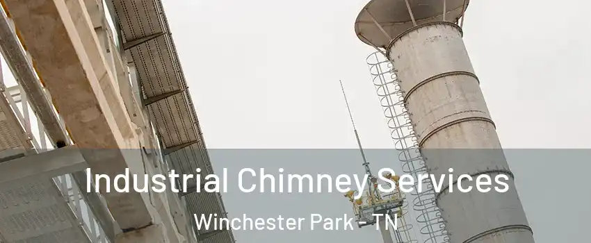 Industrial Chimney Services Winchester Park - TN