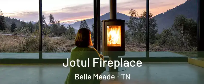 Jotul Fireplace Belle Meade - TN