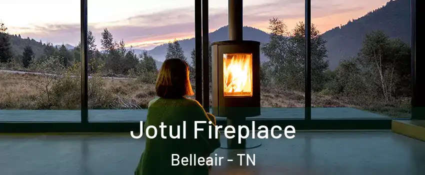 Jotul Fireplace Belleair - TN