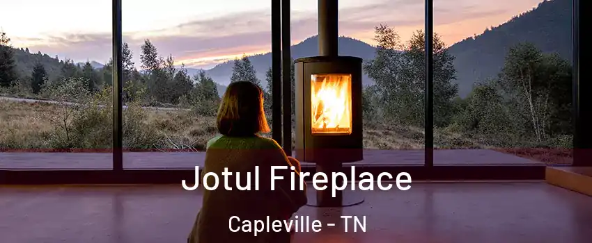 Jotul Fireplace Capleville - TN