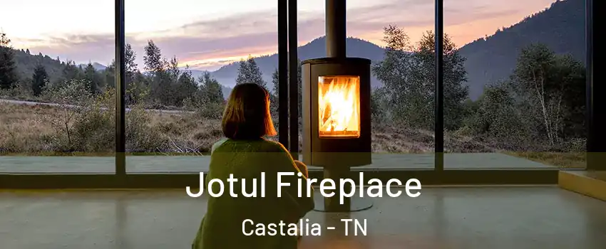 Jotul Fireplace Castalia - TN