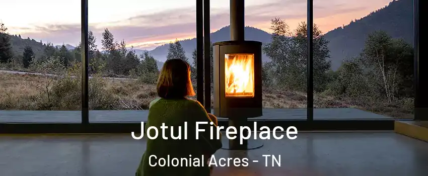 Jotul Fireplace Colonial Acres - TN