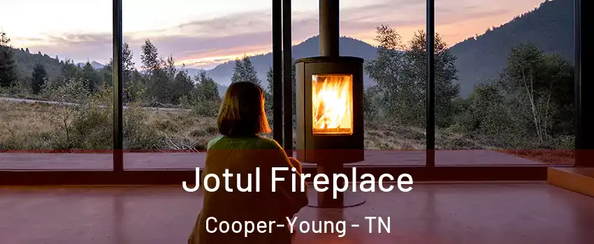 Jotul Fireplace Cooper-Young - TN