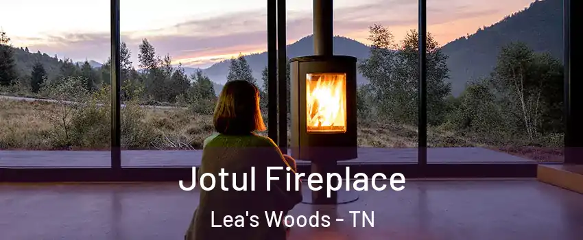 Jotul Fireplace Lea's Woods - TN