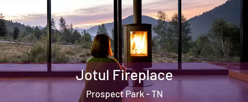 Jotul Fireplace Prospect Park - TN