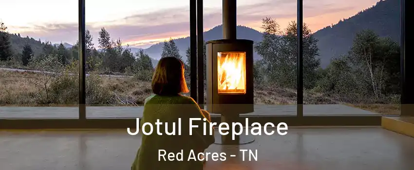 Jotul Fireplace Red Acres - TN