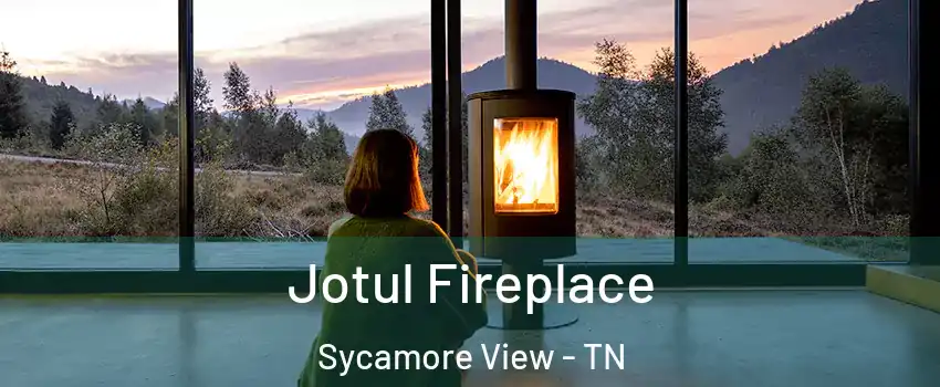 Jotul Fireplace Sycamore View - TN