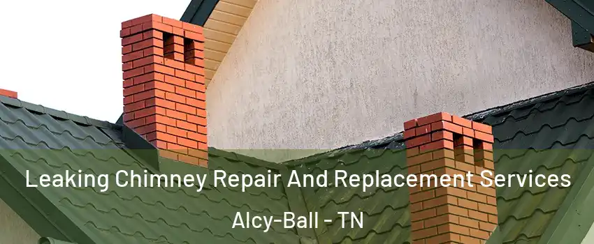 Leaking Chimney Repair And Replacement Services Alcy-Ball - TN