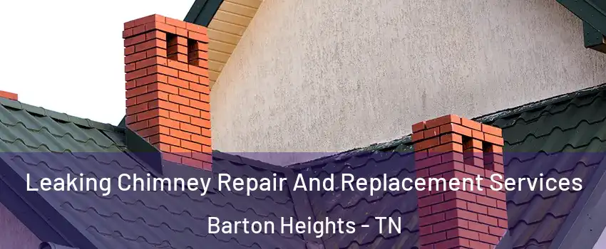 Leaking Chimney Repair And Replacement Services Barton Heights - TN