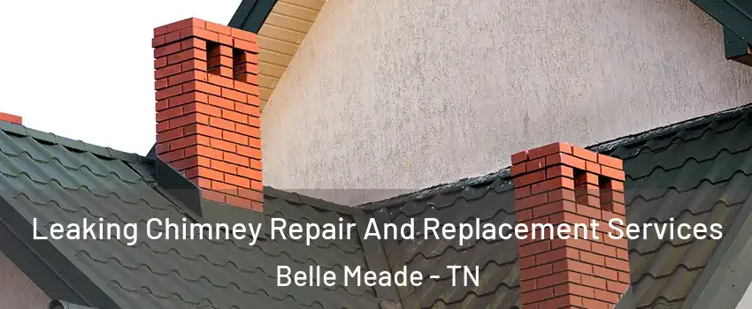 Leaking Chimney Repair And Replacement Services Belle Meade - TN