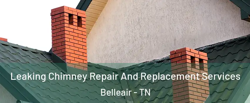 Leaking Chimney Repair And Replacement Services Belleair - TN