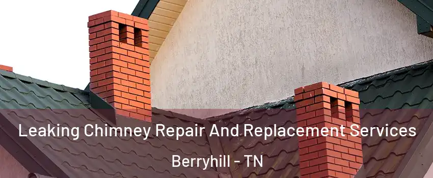 Leaking Chimney Repair And Replacement Services Berryhill - TN