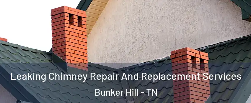 Leaking Chimney Repair And Replacement Services Bunker Hill - TN