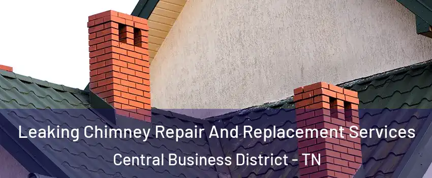 Leaking Chimney Repair And Replacement Services Central Business District - TN