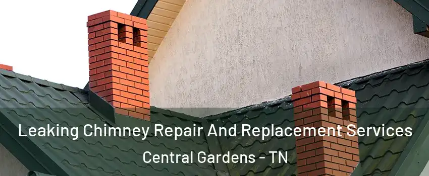 Leaking Chimney Repair And Replacement Services Central Gardens - TN