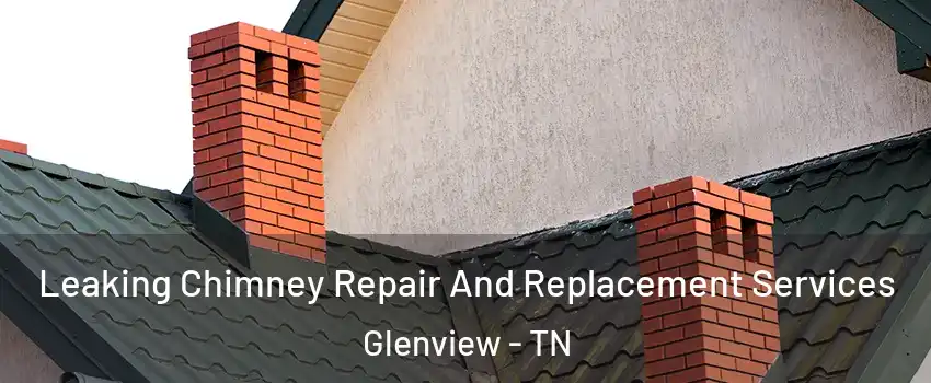 Leaking Chimney Repair And Replacement Services Glenview - TN