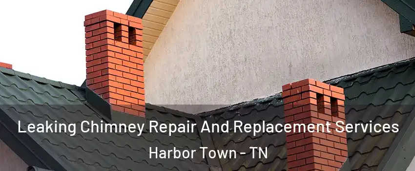 Leaking Chimney Repair And Replacement Services Harbor Town - TN