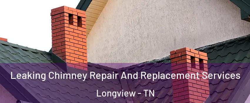 Leaking Chimney Repair And Replacement Services Longview - TN