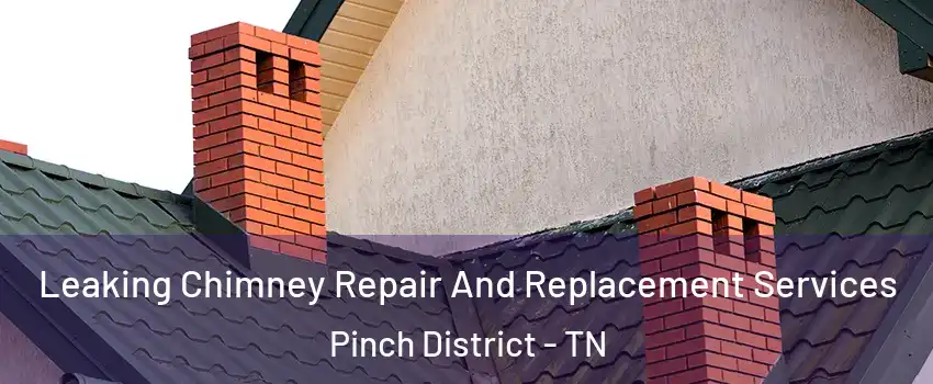 Leaking Chimney Repair And Replacement Services Pinch District - TN