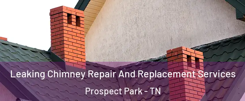 Leaking Chimney Repair And Replacement Services Prospect Park - TN