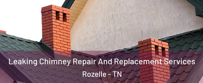 Leaking Chimney Repair And Replacement Services Rozelle - TN