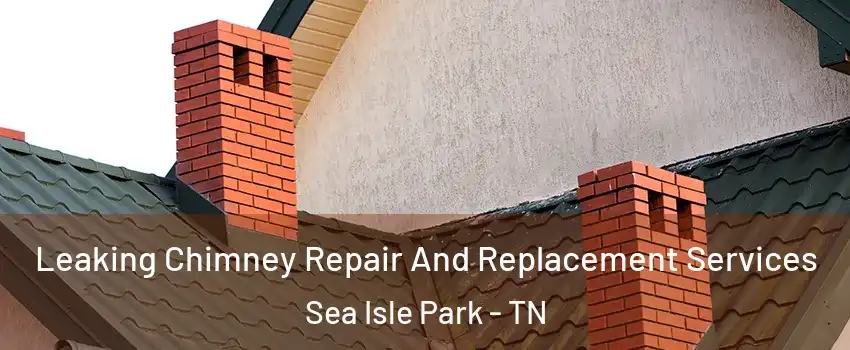 Leaking Chimney Repair And Replacement Services Sea Isle Park - TN