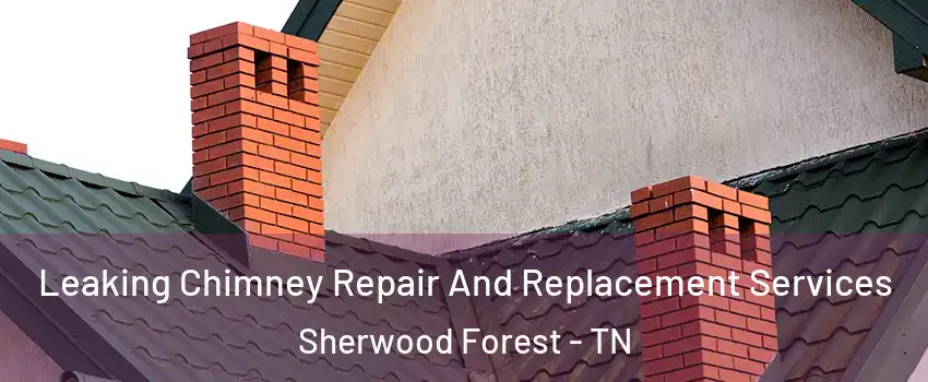 Leaking Chimney Repair And Replacement Services Sherwood Forest - TN