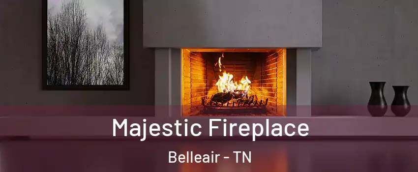 Majestic Fireplace Belleair - TN