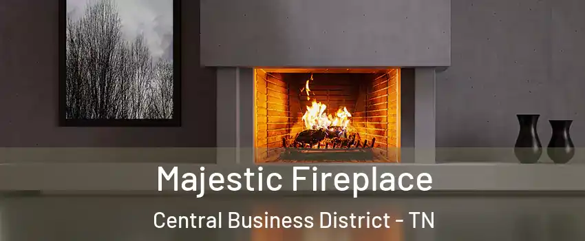 Majestic Fireplace Central Business District - TN