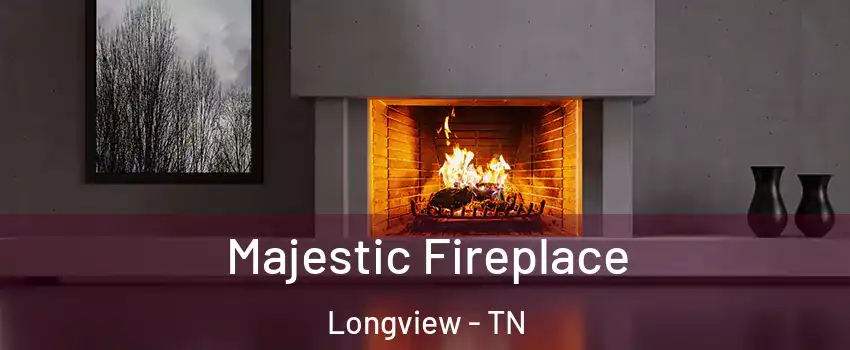 Majestic Fireplace Longview - TN