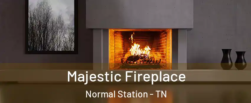 Majestic Fireplace Normal Station - TN