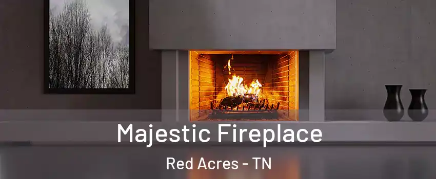 Majestic Fireplace Red Acres - TN