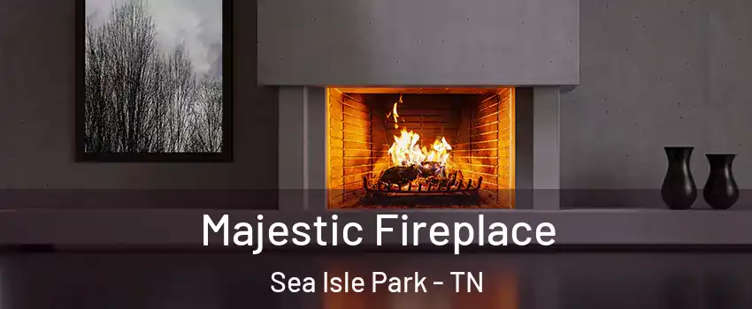 Majestic Fireplace Sea Isle Park - TN