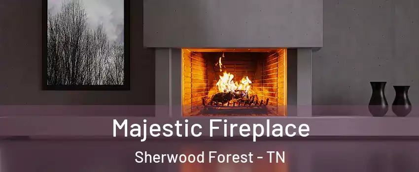 Majestic Fireplace Sherwood Forest - TN